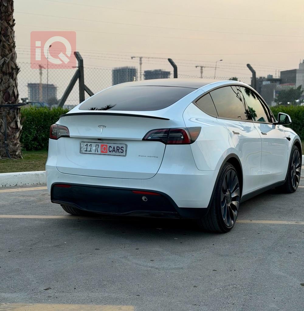 تسلا موديل Y